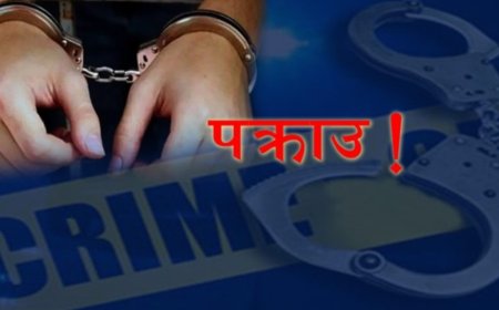 पचरौतामा ५५ किलो गाँजासहित ४५ वर्षीय यादव पक्राउ