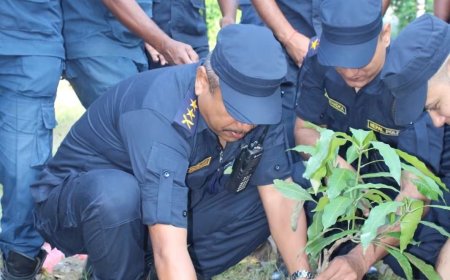 प्रहरी दिवसको अवसरमा बारामा वृक्षारोपण, भोली रक्तदान