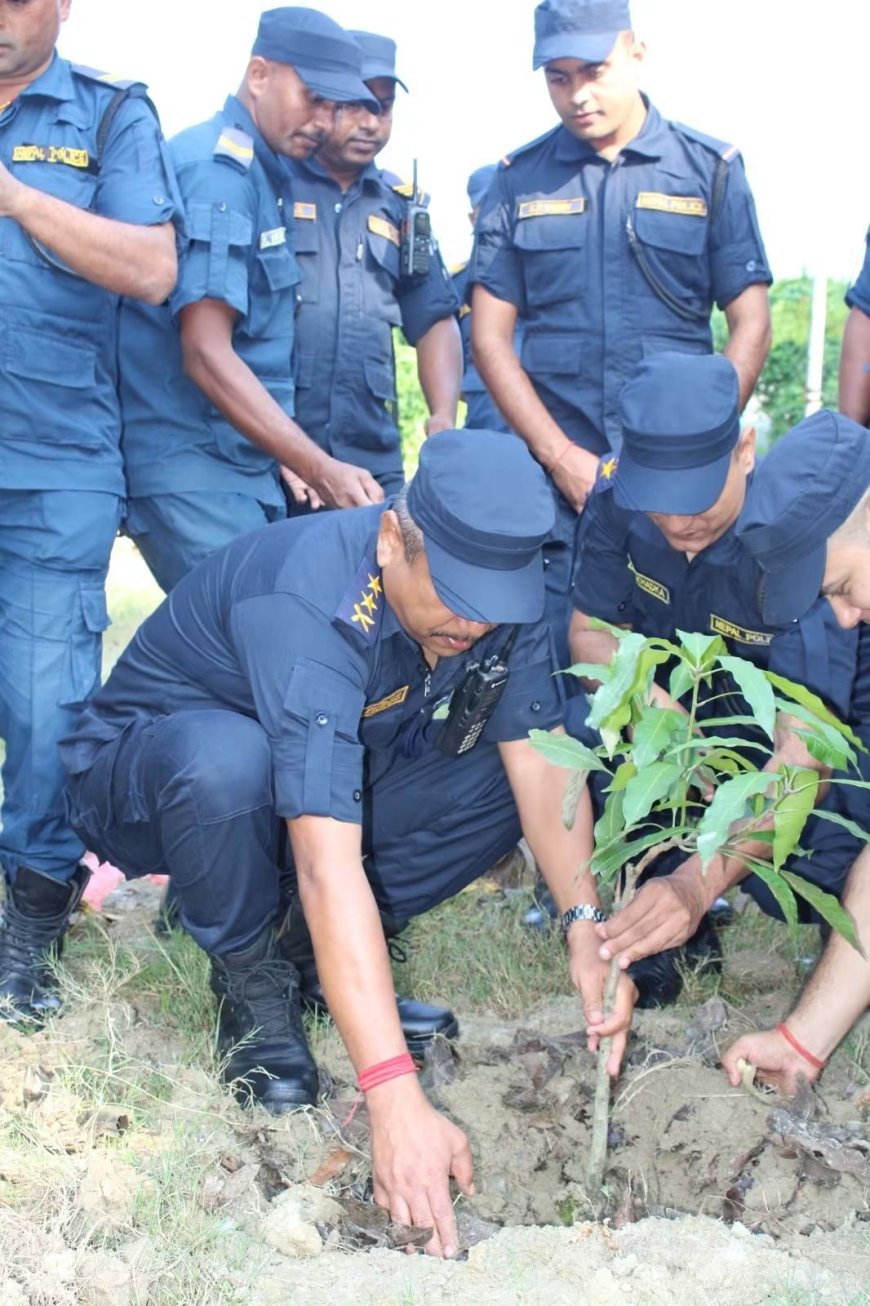 प्रहरी दिवसको अवसरमा बारामा वृक्षारोपण, भोली रक्तदान