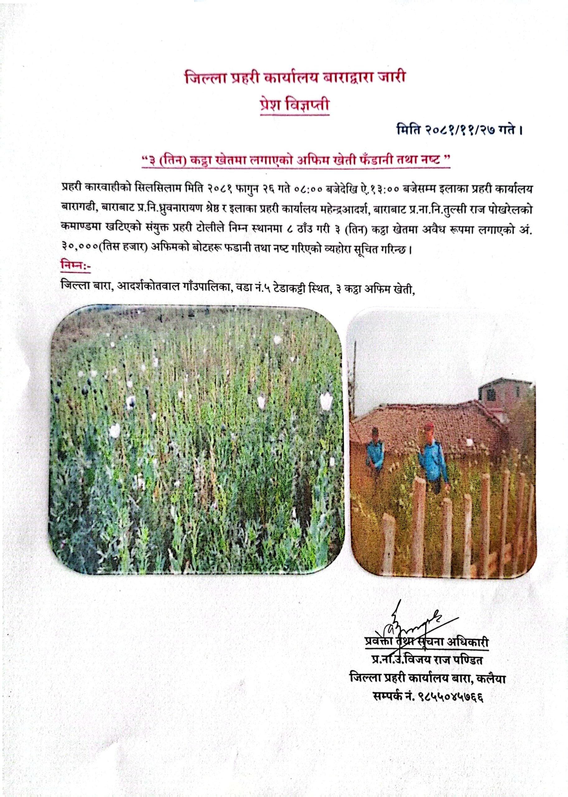 अफिम खेती फँडानी तथा नष्‍ट