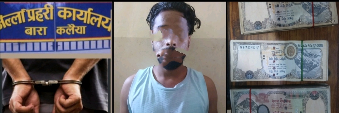 टिभि सहित लाखौ रुपैया चोरी गरेको आरोपमा एकजना पक्राउ