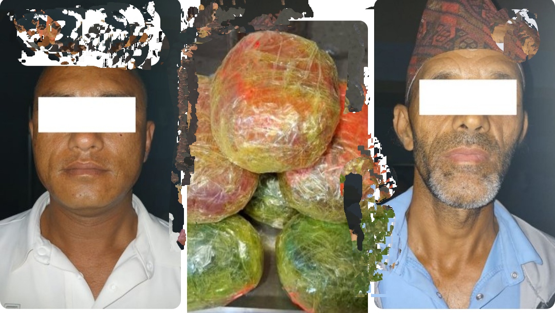 सावा ८ किलो  लागू औषध अफिम सहित २ पक्राउ