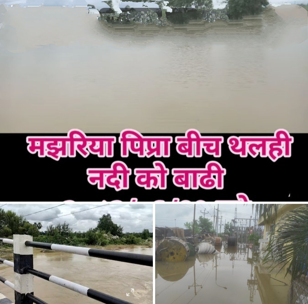 अबिरल वर्षाको प्रभाव बाढीले मधेश डुबायो,मान्छे मृत्यु वेपाता, विधुत चट, जनजिवन अस्तव्यस्त